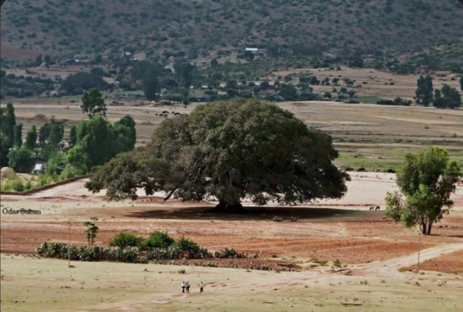 Community gathering in Shanan Dhuuggoo Woreda