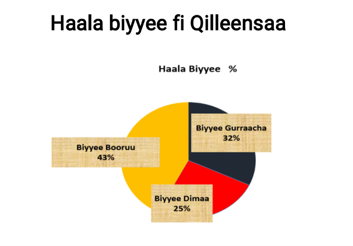 Qoodinsa fi Akaakuu Biyyee